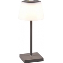 Lampa zewnętrzna na stół z usb i ściemniaczem Sanchez LED antracyt Reality