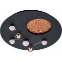Zodiac LED 50cm black matt designer ceiling lamp with adjustable light color Trio