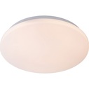 Plafon sufitowy OTIS LED Opal