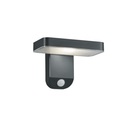 Esquel LED antharcite outdoor wall lamp with sensor Trio