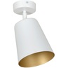 Kierunkowy Reflektor sufitowy Prism 15 biało-złoty Emibig do kuchni, przedpokoju i salonu.