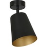 Kierunkowy Reflektor sufitowy Prism 15 czarno-złoty Emibig do kuchni, przedpokoju i salonu.