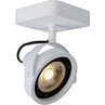 Regulowany Reflektor sufitowy kierunkowy Tala LED biały Lucide do kuchni, przedpokoju i salonu.
