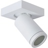 Regulowany Plafon kierunkowy łazienkowy Taylor I LED biały Lucide do łazienki.