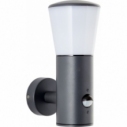 Cliffi anthracite outdoor wall lamp with motion sensor Brilliant
