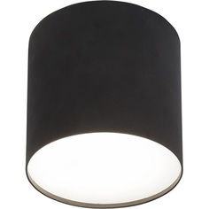 Lampa Spot tuba Point Plexi H13 Czarny Nowodvorski do kuchni, przedpokoju i sypialni.